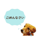 うちの ぶん太 2（個別スタンプ：4）