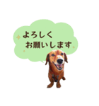 うちの ぶん太 2（個別スタンプ：6）