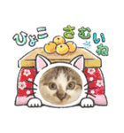 ハッピーニャンズ 日常会話 猫（個別スタンプ：4）