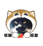 ハッピーニャンズ 日常会話 猫（個別スタンプ：17）