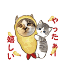 ハッピーニャンズ 日常会話 猫（個別スタンプ：19）