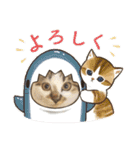 ハッピーニャンズ 日常会話 猫（個別スタンプ：24）
