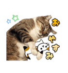 ハッピーニャンズ 日常会話 猫（個別スタンプ：39）