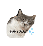 みみこのスタンプだいにだん（個別スタンプ：4）