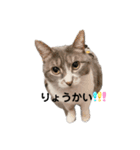 みみこのスタンプだいにだん（個別スタンプ：6）