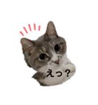 みみこのスタンプだいにだん（個別スタンプ：7）