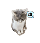 みみこのスタンプだいにだん（個別スタンプ：10）
