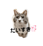 みみこのスタンプだいにだん（個別スタンプ：11）