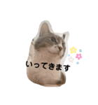 みみこのスタンプだいにだん（個別スタンプ：13）