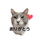 みみこのスタンプだいにだん（個別スタンプ：16）