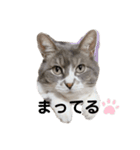 みみこのスタンプだいにだん（個別スタンプ：18）
