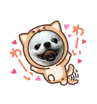 チワワのマメ太郎（個別スタンプ：4）