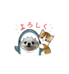 チワワのマメ太郎（個別スタンプ：15）