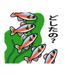 熱帯魚たちのスタンプ（個別スタンプ：7）