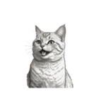 AIモノクロ猫（言葉なし）（個別スタンプ：1）