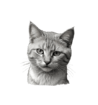 AIモノクロ猫（言葉なし）（個別スタンプ：2）