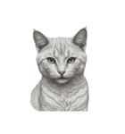 AIモノクロ猫（言葉なし）（個別スタンプ：3）