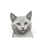 AIモノクロ猫（言葉なし）（個別スタンプ：4）