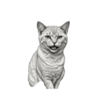 AIモノクロ猫（言葉なし）（個別スタンプ：5）