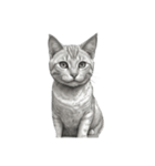 AIモノクロ猫（言葉なし）（個別スタンプ：6）