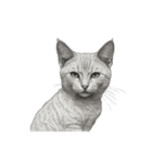 AIモノクロ猫（言葉なし）（個別スタンプ：7）