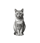 AIモノクロ猫（言葉なし）（個別スタンプ：13）