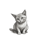 AIモノクロ猫（言葉なし）（個別スタンプ：20）