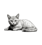 AIモノクロ猫（言葉なし）（個別スタンプ：23）