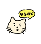 日常で使える_猫スタンプ（個別スタンプ：10）