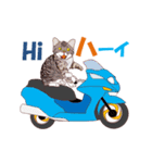バイク猫2（個別スタンプ：3）