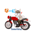 バイク猫2（個別スタンプ：6）