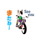 バイク猫2（個別スタンプ：7）