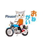 バイク猫2（個別スタンプ：11）