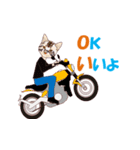 バイク猫2（個別スタンプ：17）