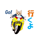 バイク猫2（個別スタンプ：20）