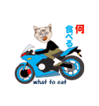 バイク猫2（個別スタンプ：22）