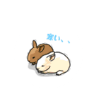 色んな 動物（個別スタンプ：13）