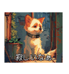 ピクセル犬★日常会話（個別スタンプ：3）