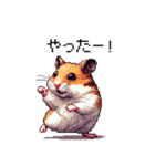 ドット絵 ハムスター ゴールデン 日常会話（個別スタンプ：26）