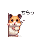 ドット絵 ハムスター ゴールデン 日常会話（個別スタンプ：30）