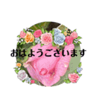 お花の敬語（個別スタンプ：13）