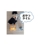 うごくよ！！なかまたち（個別スタンプ：5）