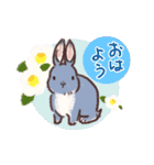 4うさぎ[春]（個別スタンプ：1）