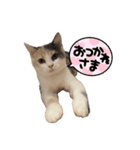 りんです。1（個別スタンプ：8）