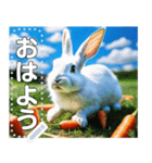 にんじん畑の白ウサギ（個別スタンプ：1）