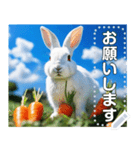 にんじん畑の白ウサギ（個別スタンプ：4）
