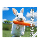 にんじん畑の白ウサギ（個別スタンプ：6）