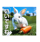 にんじん畑の白ウサギ（個別スタンプ：9）