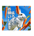 にんじん畑の白ウサギ（個別スタンプ：11）