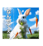 にんじん畑の白ウサギ（個別スタンプ：19）